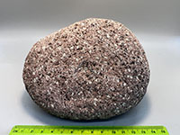 a cobble with small white and black crystals (phenocrysts) imbedded in a pinkish lava rock